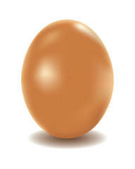 Chicken egg