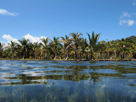Tropical shore with coconut trees seen from water surface, Caribbean sea, Panama, Central America