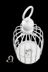 Cage and separate hearts