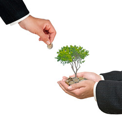 Palms with a tree growng from pile of coins