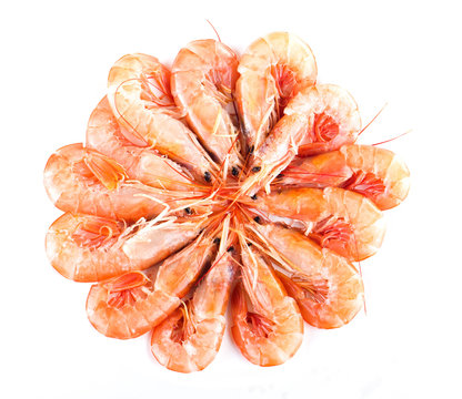 Fresh, uncooked shrimp arranged in a circle