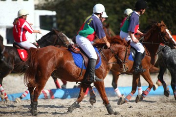 Equipe de horse-ball