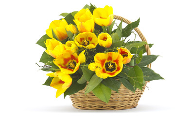 Fototapeta na wymiar Beautiful yellow tulips in a basket on a white background