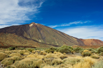 volcano Teide, Spain - 40447094