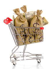 Bags with money in trolley isolated on white