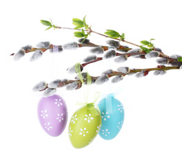 pussy-willow twigs with Easter eggs isolated on white