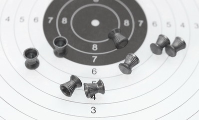 target and pellets  isolated on white background
