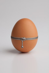 Chicken egg with zipper