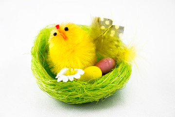 Easter Chicks in the nest