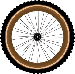 Front wheel of a mountain bike isolated on white