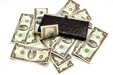 woman leather purse and paper money
