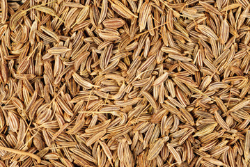 cumin seeds macro as background