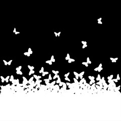 The silhouettes of butterflies