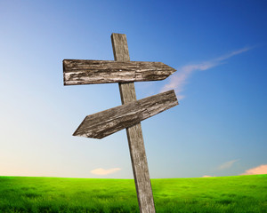 Blank road signs against blue sky