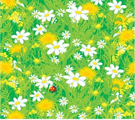 Gartenposter Hintergrund mit Marienkäfer und Feldblumen © Alexey Bannykh