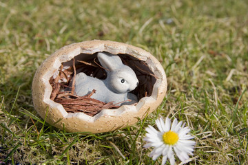 Osterhase im Ei