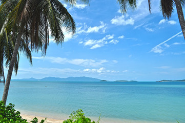 Asian Thailand sea scape Beach and palm