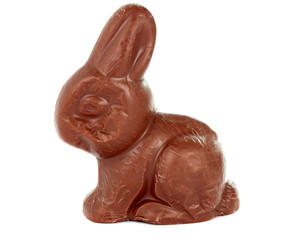 chocolate bunny isolated