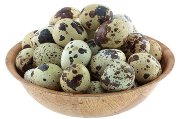 Obraz premium oeufs de caille