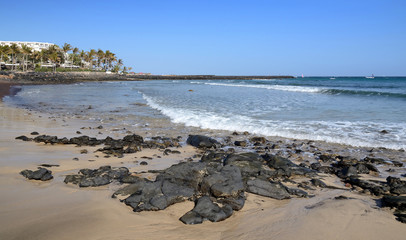 Fototapeta na wymiar Lanzarote's typical beach with palm trees