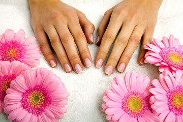 Obraz na płótnie Canvas feminin hands with a treatment doing a manicure closeup
