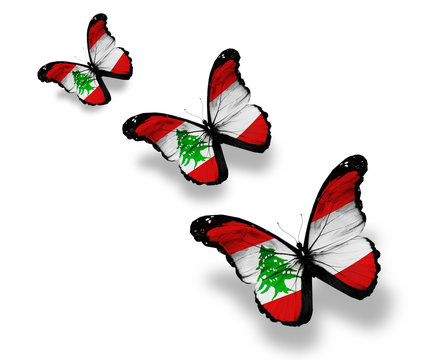 Three Lebanese flag butterflies, isolated on white