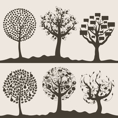 Obraz premium Wood tree6