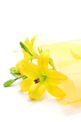 Yellow lily bouquet