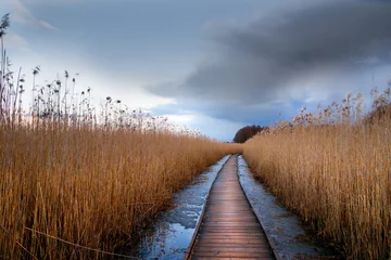 Foto op Plexiglas anti-reflex Wooden pathway in wetland © Pink Badger