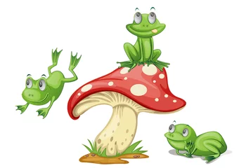 Fotobehang 3 frogs © GraphicsRF