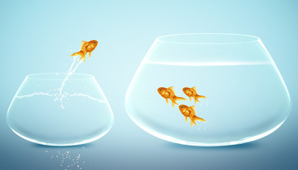 goldfish jumping into bigger fishbowl