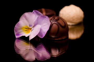 Pralinen 01