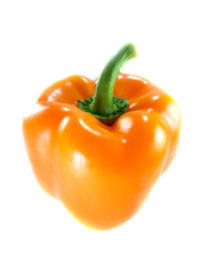 Orange bell pepper
