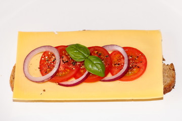 Käsebrot mit Tomate und Zwiebel