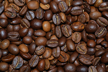 Coffee beans background
