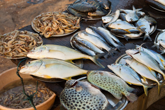 Fischmarkt in Kerala, Indien, Fish market in Kerala, India