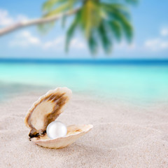 Shell with pearl on a beach