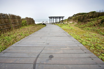 Fototapeta premium path