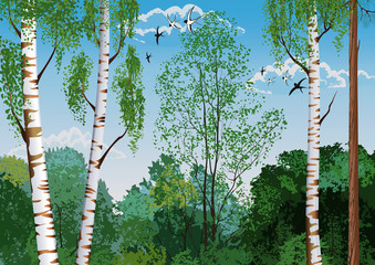 Landscape with trees and flying swallows