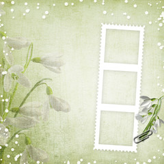 spring background with frame and snowdrops