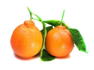 Fresh orange