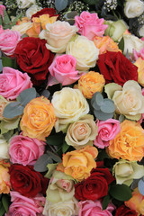 red and pastel roses in a mixed rose arrangement