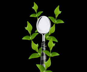 green leaves around spoon