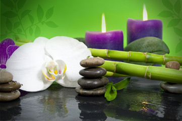 Orchidee mit Bambus auf Schieferplatte, Kerzen und Steinen