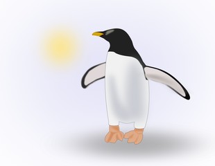 Fototapeta premium Penguin looking at the sun.