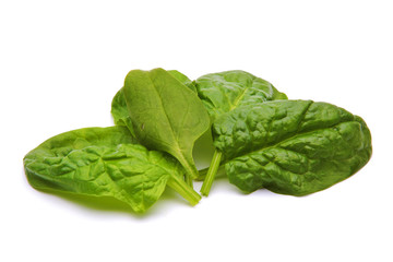 spinach leaf isolated on white background