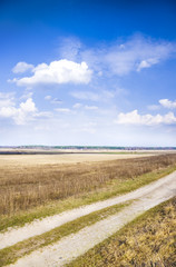 adventure on the green field