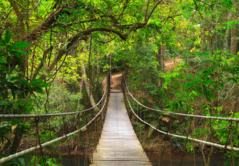 Panele Szklane Podświetlane  Most do dżungli, park narodowy Khao Yai, Tajlandia