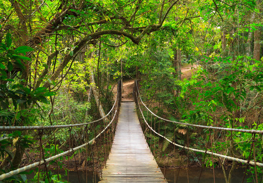 Fototapeta Bridge to the jungle,Khao Yai national park,Thailand