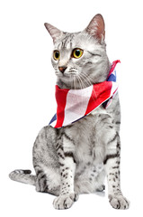 Patriotic Egyptian Mau Cat